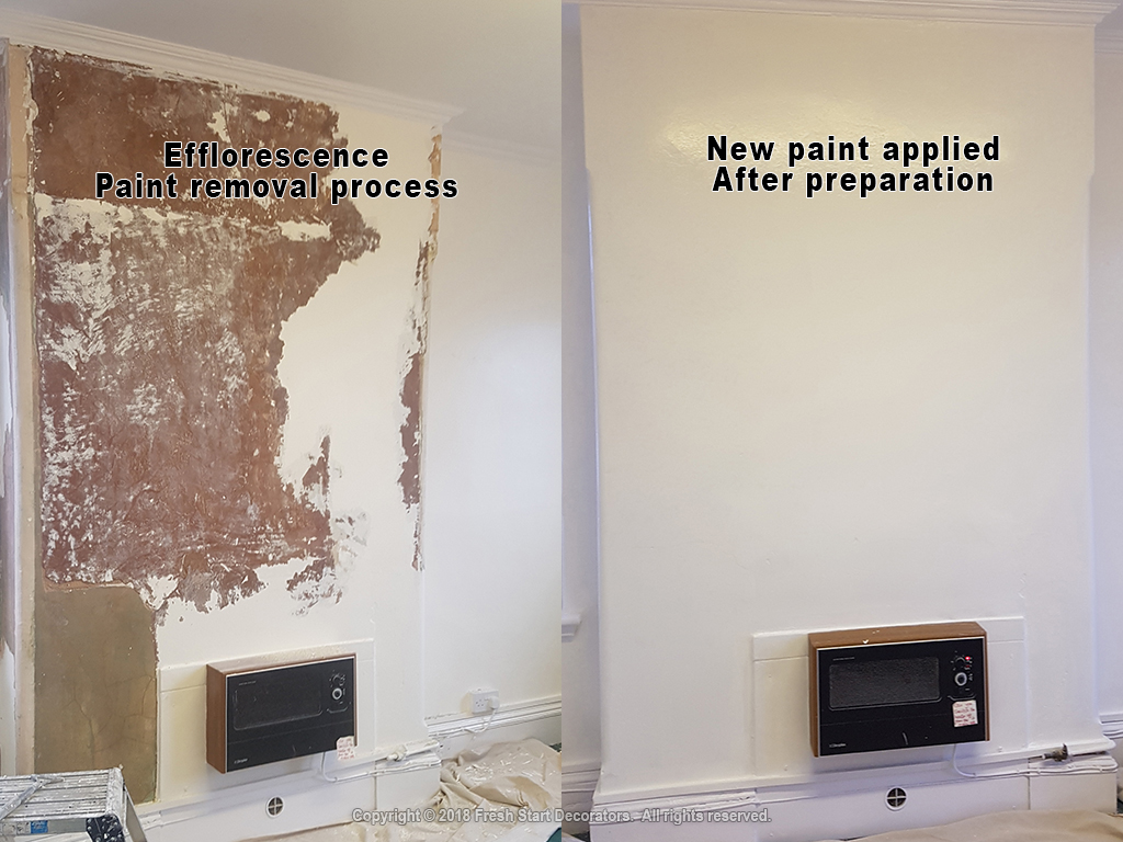 efflorescence salts on paint